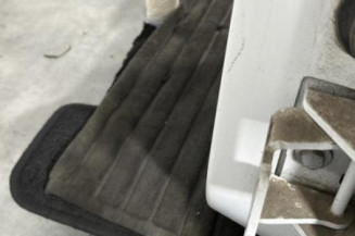 Porte arriere gauche PEUGEOT 207