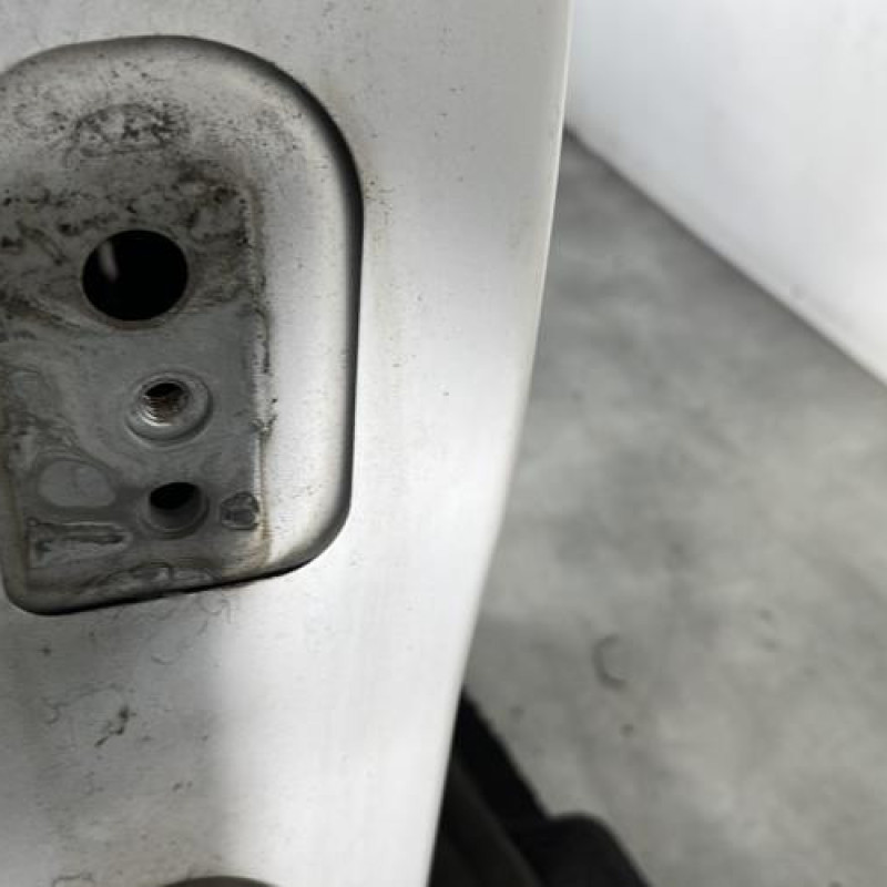 Porte avant droit PEUGEOT 207 Photo n°4