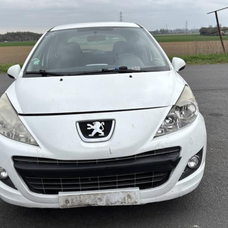 Porte avant droit PEUGEOT 207 Photo n°14