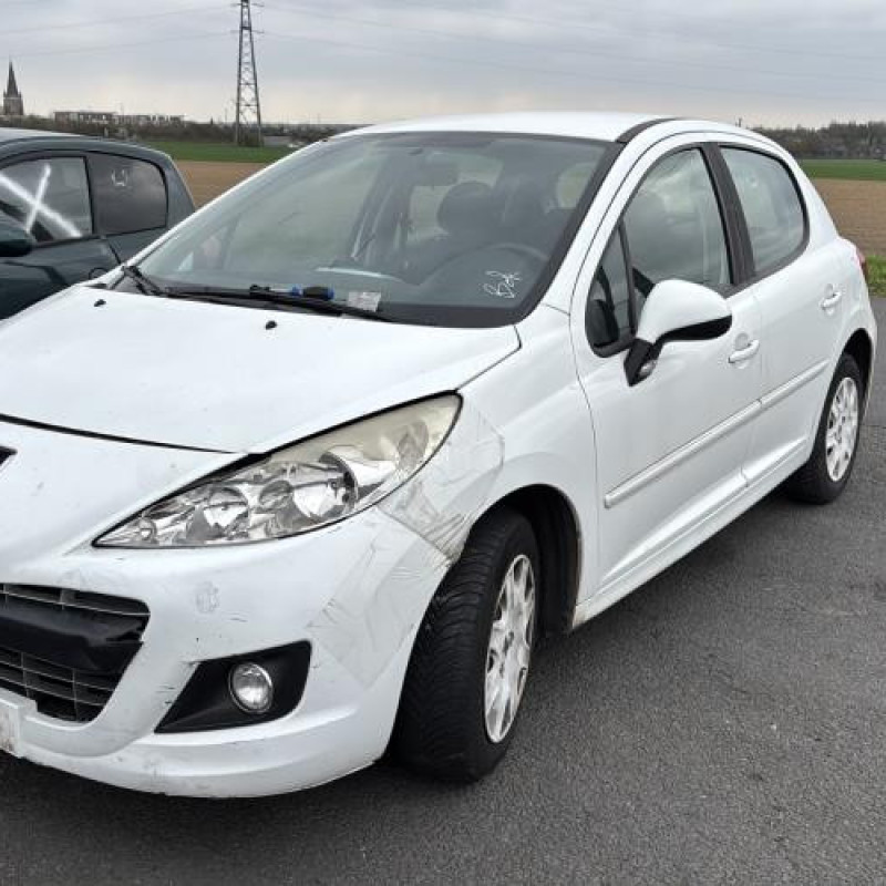 Porte avant gauche PEUGEOT 207 Photo n°6
