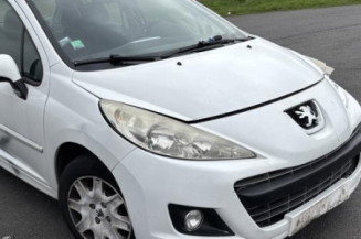 Porte avant gauche PEUGEOT 207