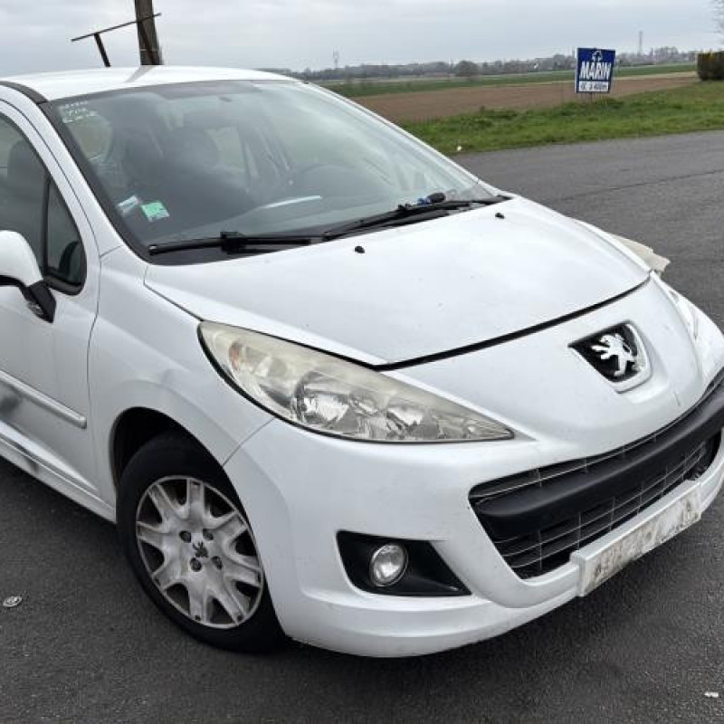 Porte avant gauche PEUGEOT 207 Photo n°7