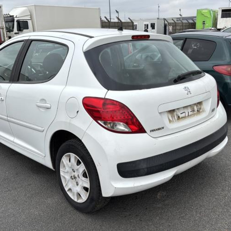 Porte avant gauche PEUGEOT 207 Photo n°9