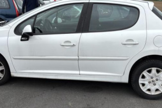 Porte avant gauche PEUGEOT 207