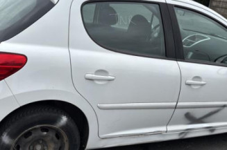 Porte avant gauche PEUGEOT 207