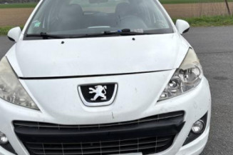 Porte avant gauche PEUGEOT 207