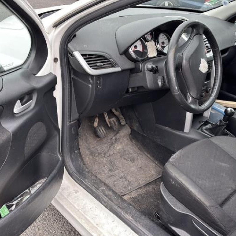 Porte avant gauche PEUGEOT 207 Photo n°14