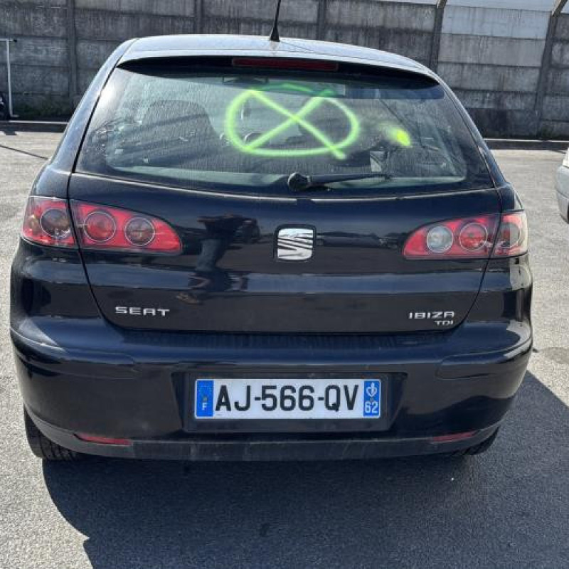 Custode arriere gauche SEAT IBIZA 3 Photo n°5