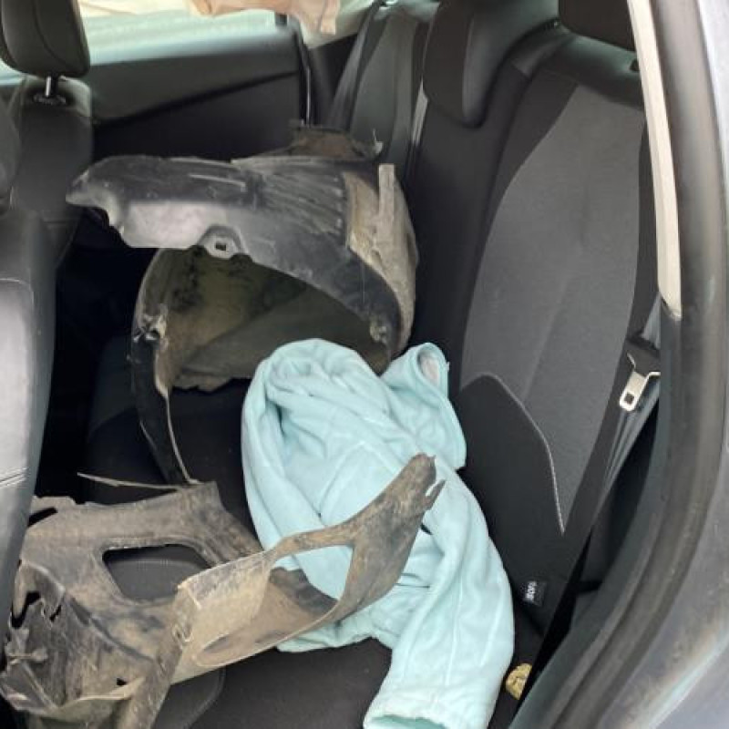 Poignee interieur arriere droit CITROEN C3 2 Photo n°11