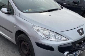 Aile avant gauche PEUGEOT 307