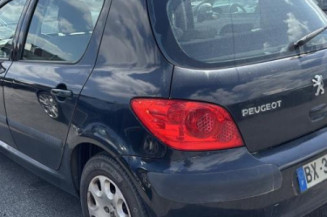 Aile avant droit PEUGEOT 307