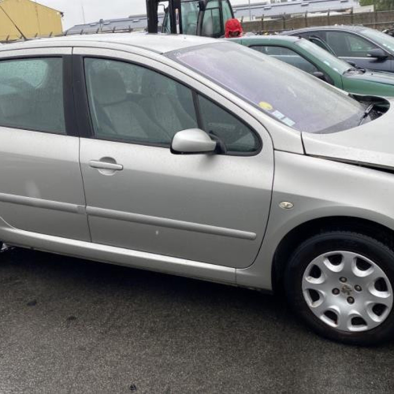 Porte arriere droit PEUGEOT 307 Photo n°15