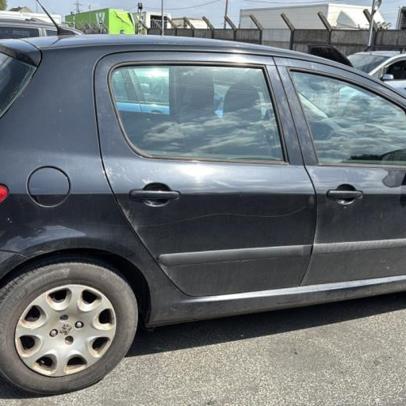 Porte avant droit PEUGEOT 307 Photo n°12