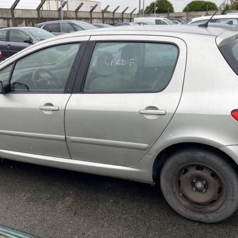 Porte avant droit PEUGEOT 307 Photo n°14