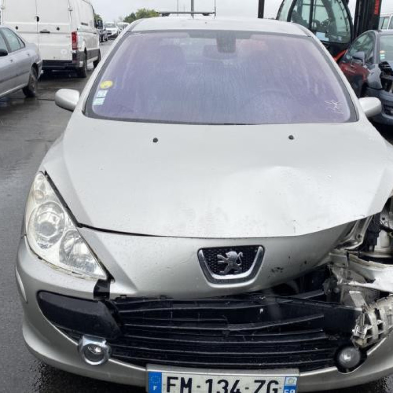 Porte avant gauche PEUGEOT 307 Photo n°16