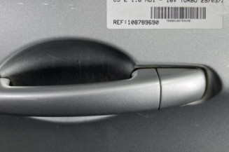 Porte arriere gauche CITROEN C5 2
