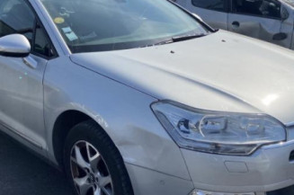 Porte arriere gauche CITROEN C5 2