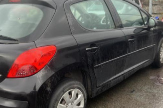 Porte avant gauche PEUGEOT 207