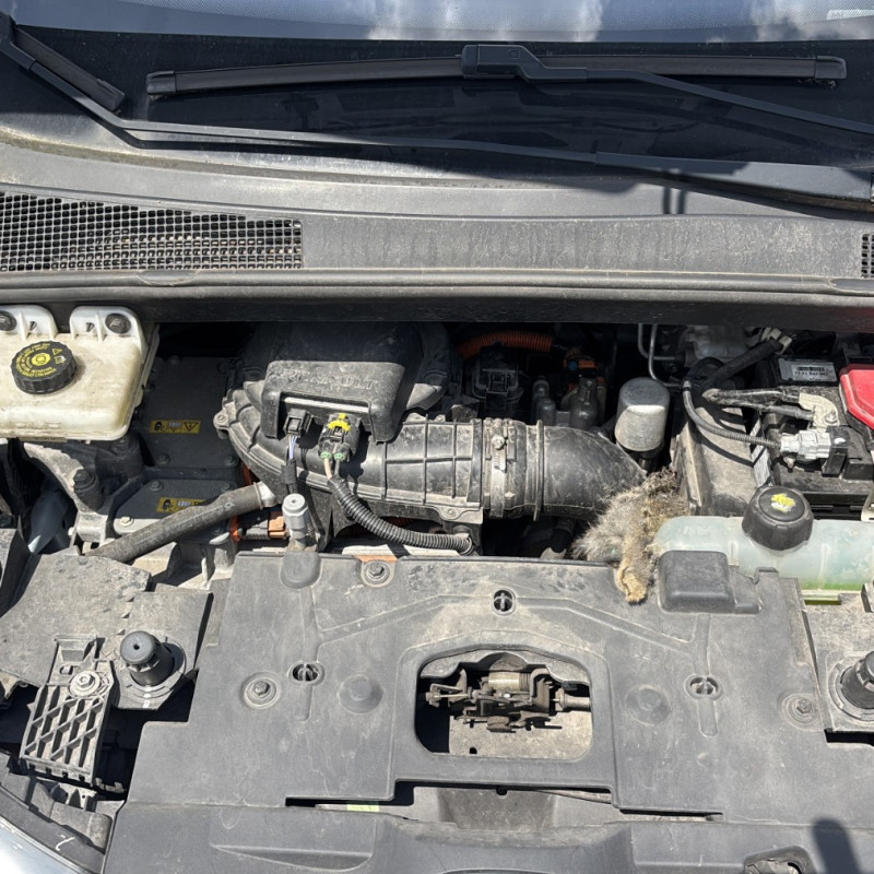 RENAULT ZOE 1 ZE ELECTRIQUE Photo n°22