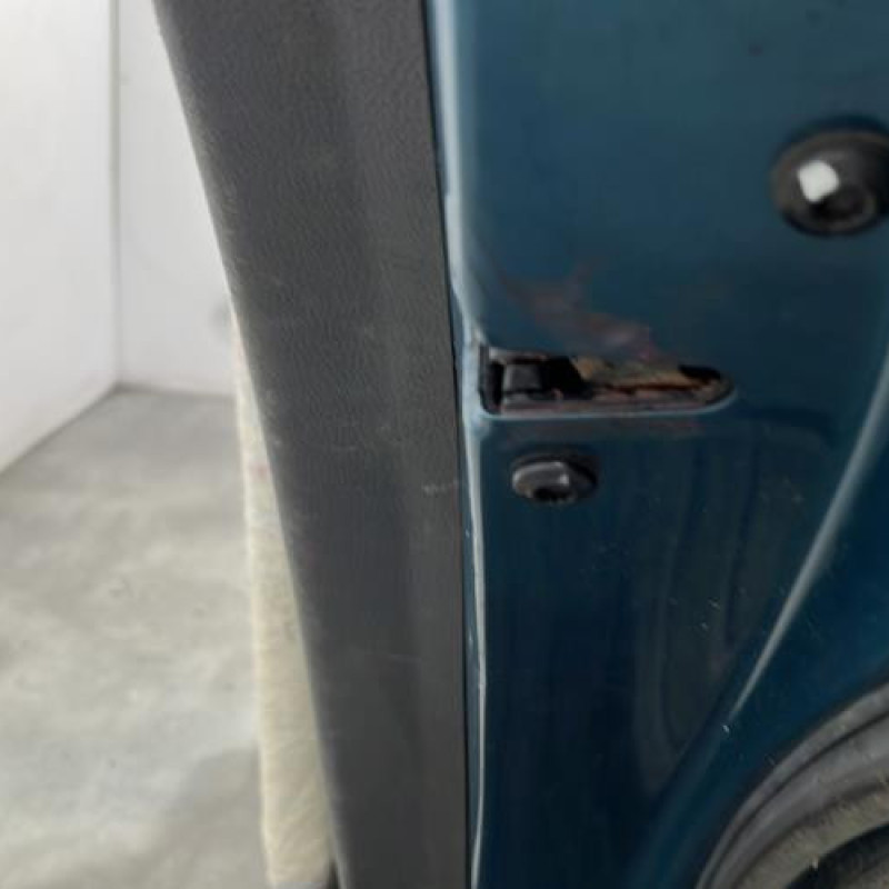 Porte arriere droit VOLKSWAGEN TOURAN 1 Photo n°3