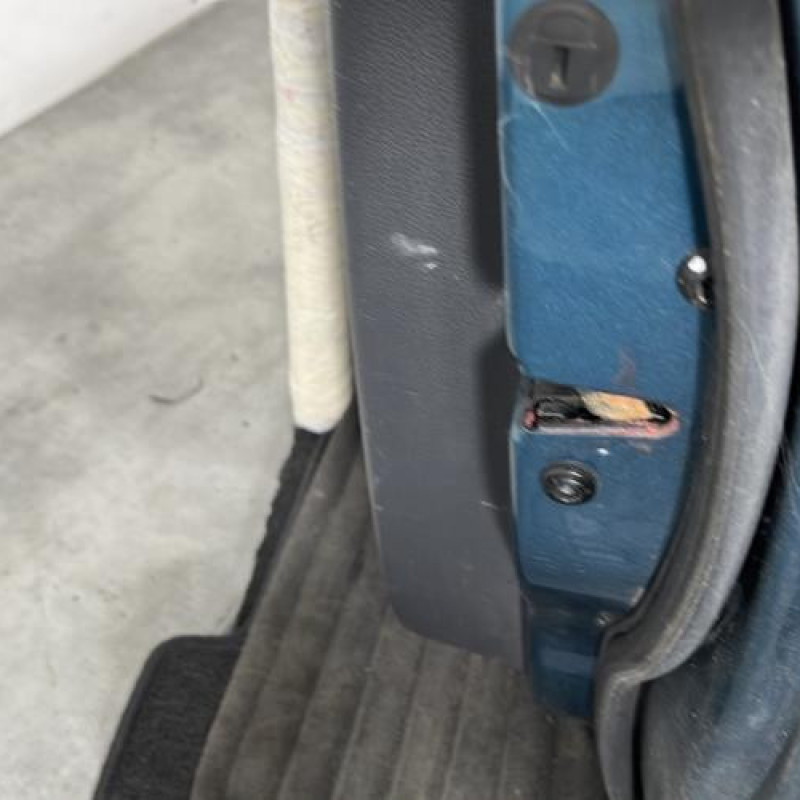 Porte avant droit VOLKSWAGEN TOURAN 1 Photo n°3