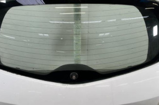 Malle/Hayon arriere RENAULT CLIO 3 Photo n°1