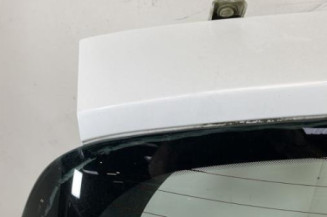 Malle/Hayon arriere RENAULT CLIO 3