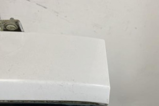 Malle/Hayon arriere RENAULT CLIO 3