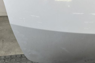 Malle/Hayon arriere RENAULT CLIO 3