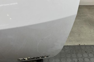 Malle/Hayon arriere RENAULT CLIO 3