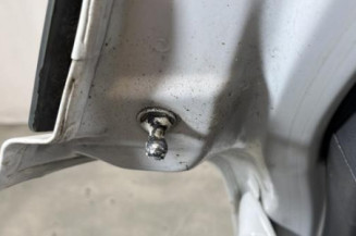Malle/Hayon arriere RENAULT CLIO 3