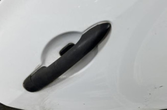 Porte arriere droit RENAULT CLIO 3