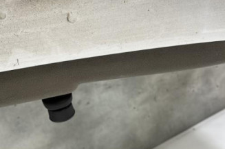 Porte arriere droit RENAULT CLIO 3