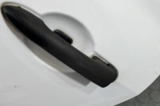 Porte arriere gauche RENAULT CLIO 3