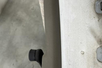 Porte arriere gauche RENAULT CLIO 3