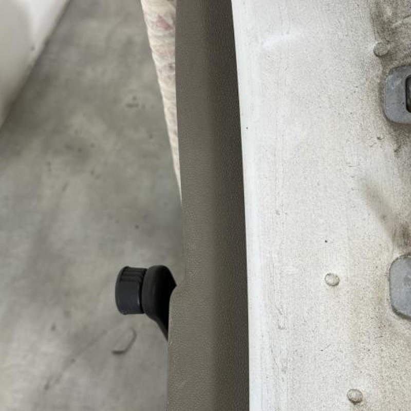 Porte arriere gauche RENAULT CLIO 3 Photo n°3
