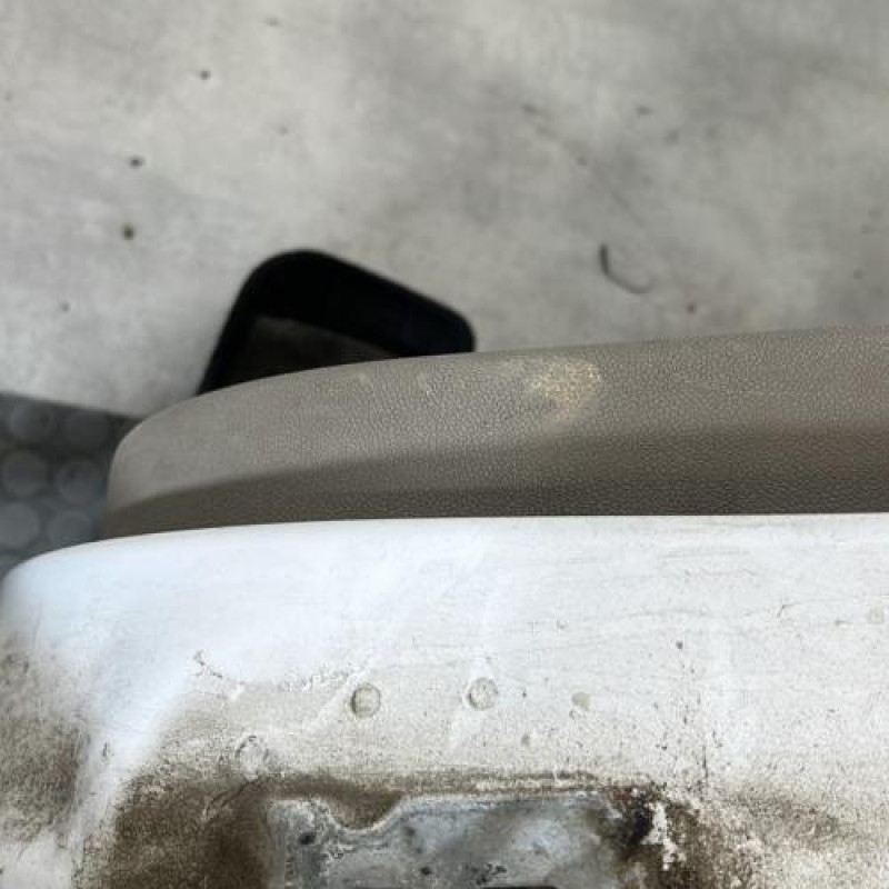 Porte arriere gauche RENAULT CLIO 3 Photo n°4
