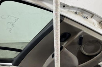 Porte arriere gauche RENAULT CLIO 3