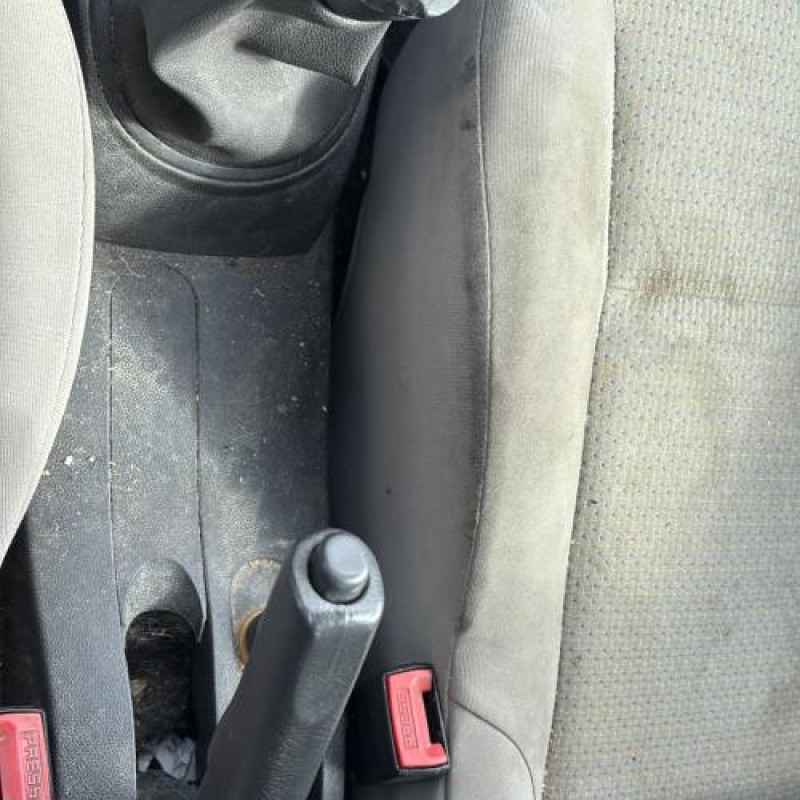 Porte arriere gauche RENAULT CLIO 3 Photo n°20