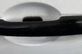 Porte avant gauche RENAULT CLIO 3