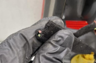 Feu arriere secondaire gauche (feux) CITROEN EVASION