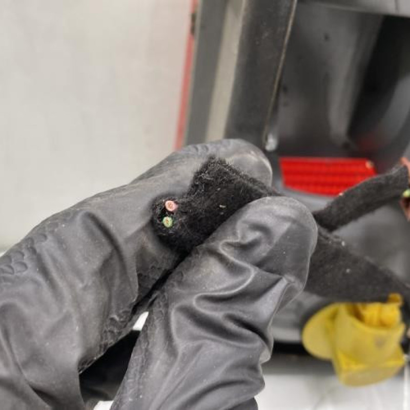 Feu arriere secondaire gauche (feux) CITROEN EVASION Photo n°4