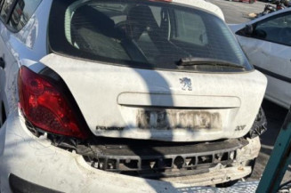 Feu arriere principal gauche (feux) PEUGEOT 207