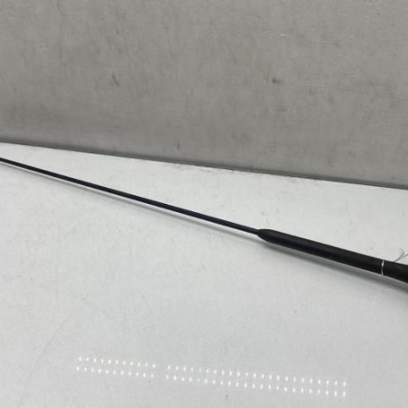 Antenne FORD FOCUS 2