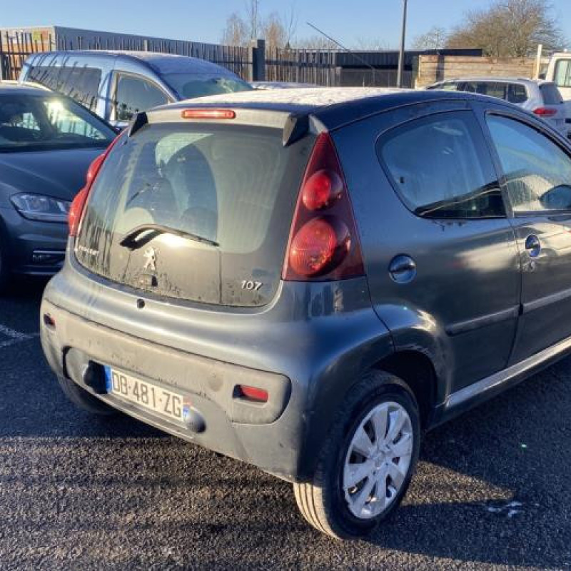 Porte avant gauche PEUGEOT 107 Photo n°11