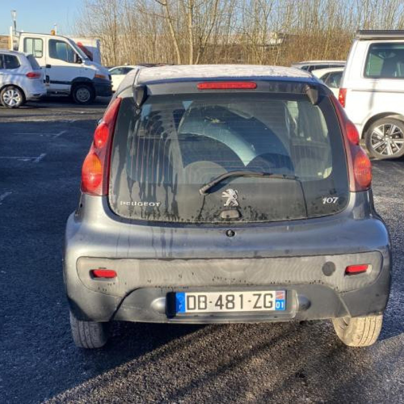 Porte avant gauche PEUGEOT 107 Photo n°13