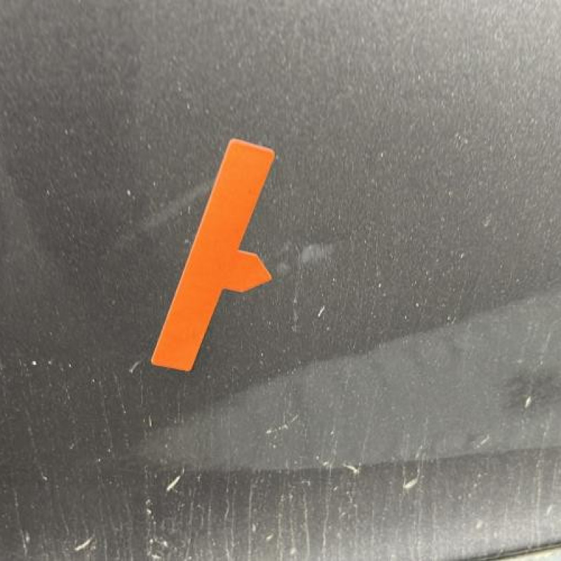Porte avant gauche RENAULT MEGANE 3 Photo n°2