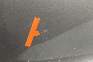Porte avant gauche RENAULT MEGANE 3