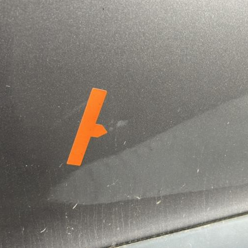Porte avant gauche RENAULT MEGANE 3 Photo n°3