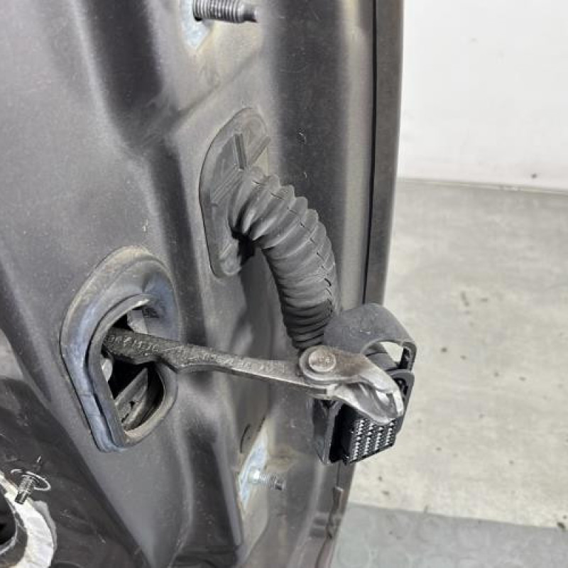 Porte avant gauche RENAULT MEGANE 3 Photo n°7